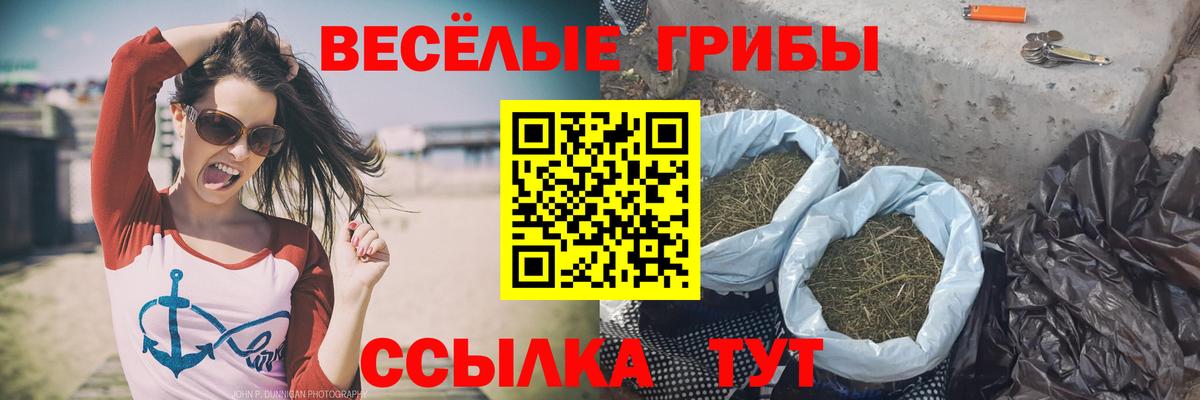 Галлюциногенные грибы прущие грибы  Вход с VPN  что такое   Советская Гавань 